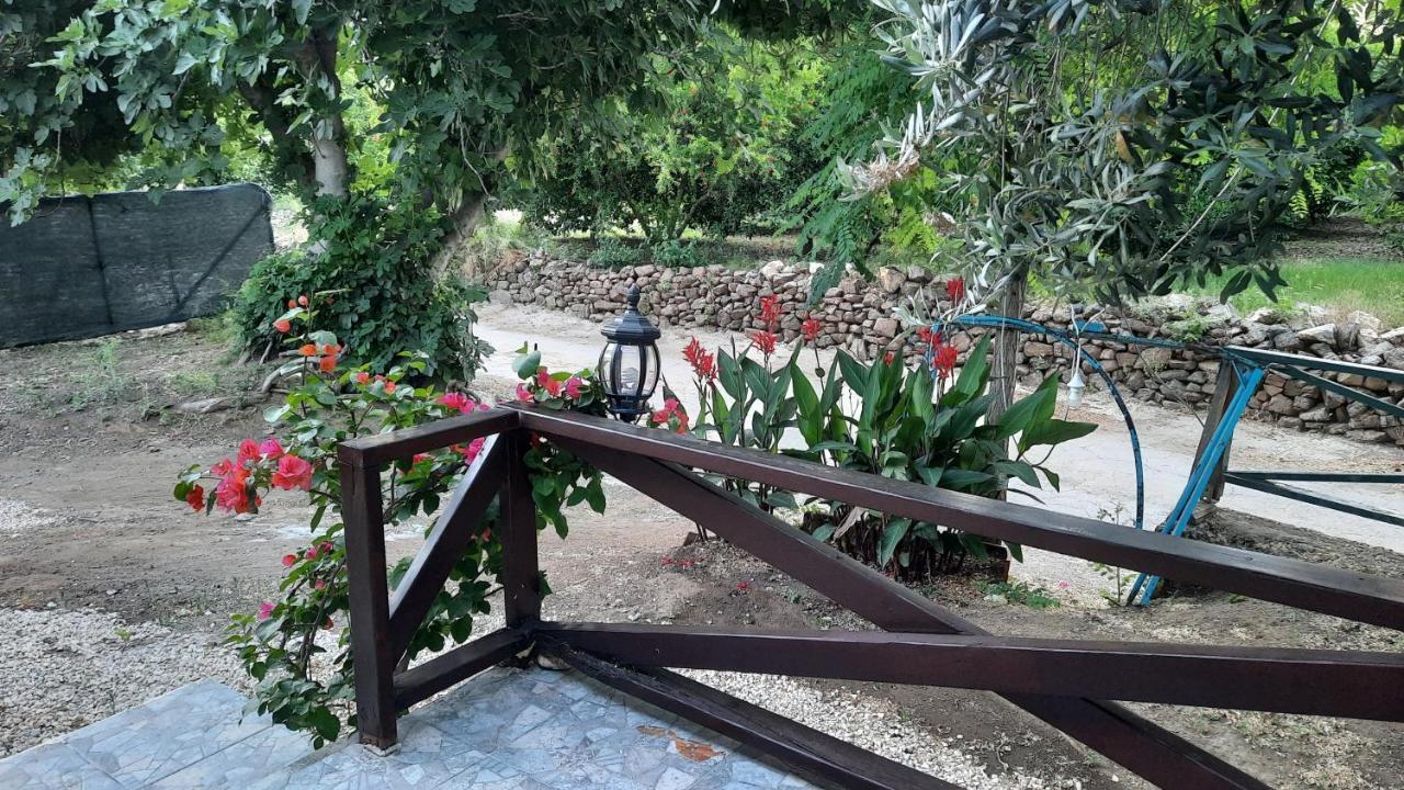 Teo Hotel&Pansion Çıralı المظهر الخارجي الصورة