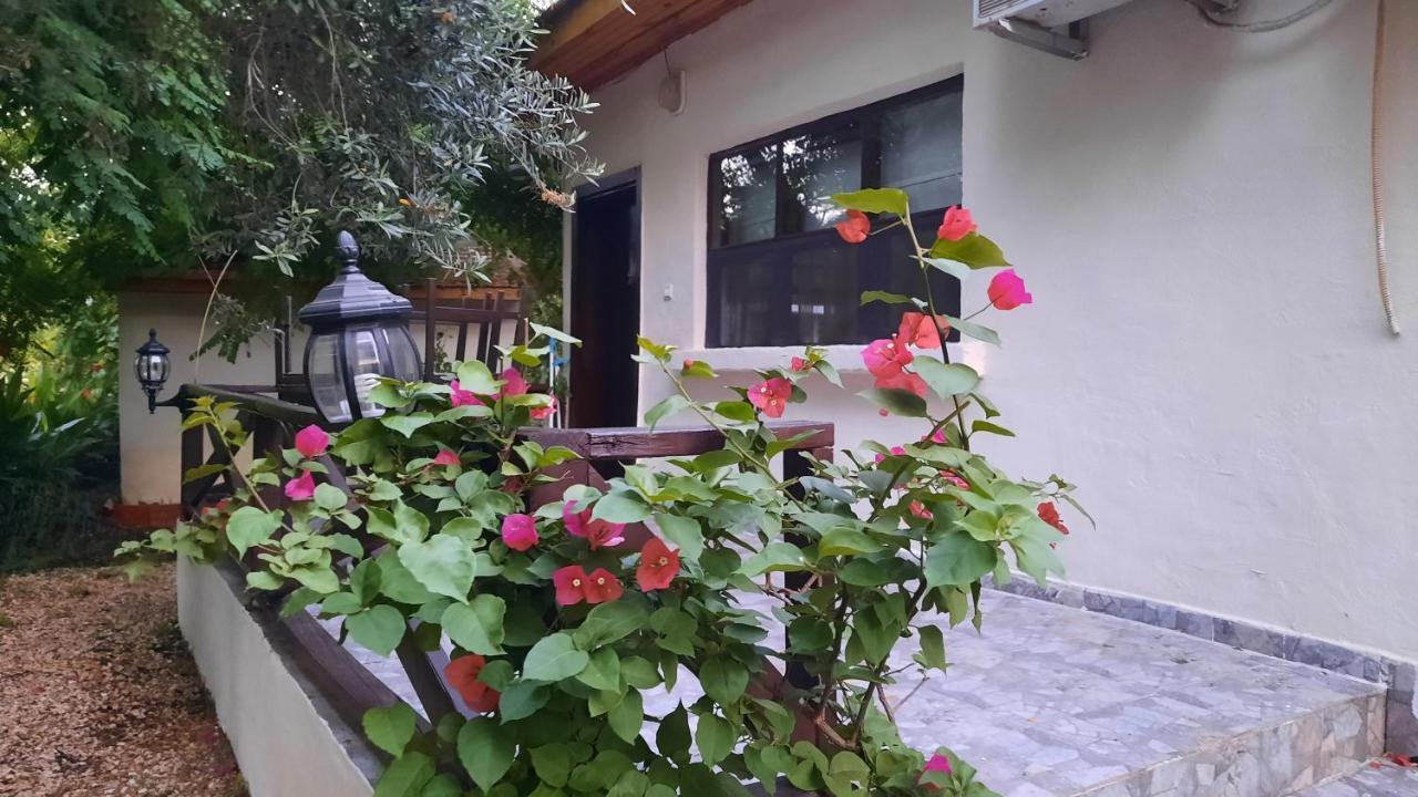 Teo Hotel&Pansion Çıralı المظهر الخارجي الصورة