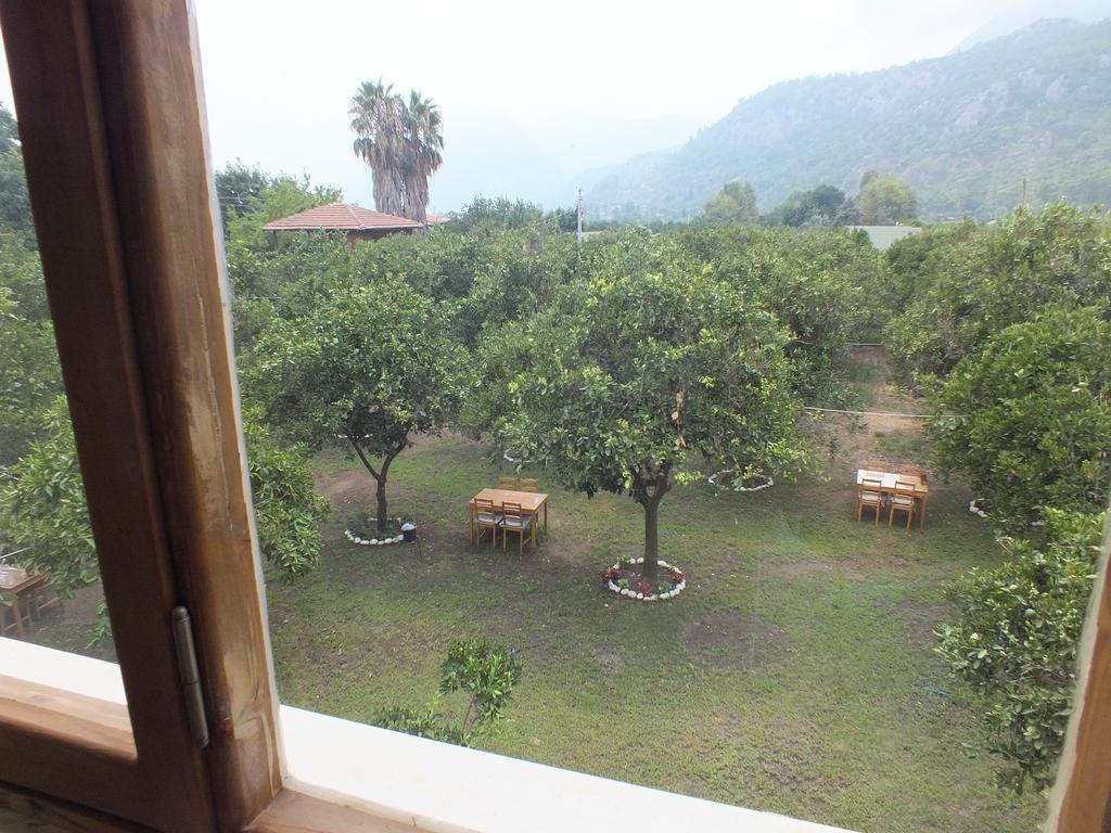 Teo Hotel&Pansion Çıralı الغرفة الصورة